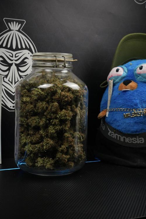 Skywalker OG Legends of the 12/12 Galaxy. Week 17 - Skywalker OG ad Mr Baggy 