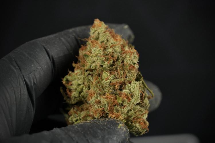 Skywalker OG Legends of the 12/12 Galaxy. Week 18 - Amazing Fruits