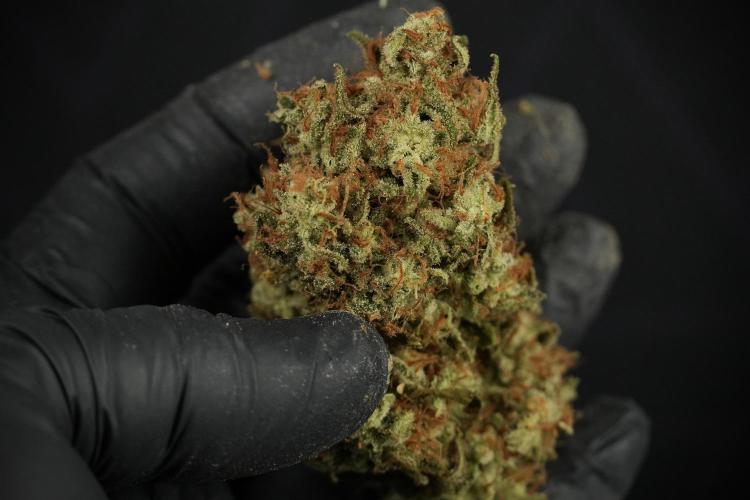 Skywalker OG Legends of the 12/12 Galaxy. Week 18 - Amazing Fruits