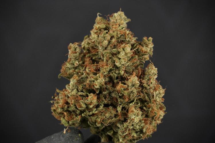 Skywalker OG Legends of the 12/12 Galaxy. Week 18 - Amazing Fruits