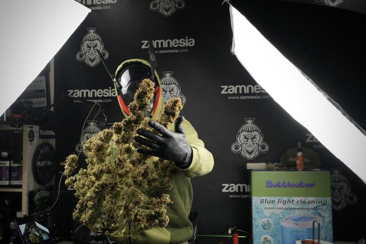 Animal Mints-Legends of the Frozen North. Week 16 - Me and the Animal Mints 