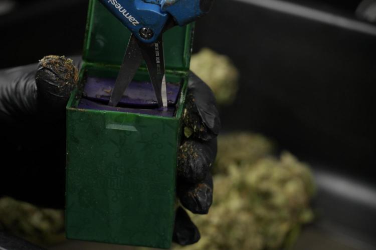 SOUR DIESEL-The Ascension of a Legend. Week 15 - cleaning 