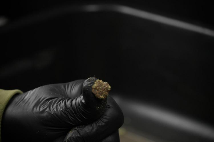 SOUR DIESEL-The Ascension of a Legend. Week 15 - sticky 