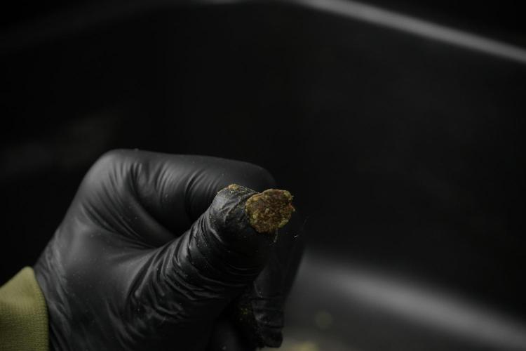 SOUR DIESEL-The Ascension of a Legend. Week 15 - sticky 