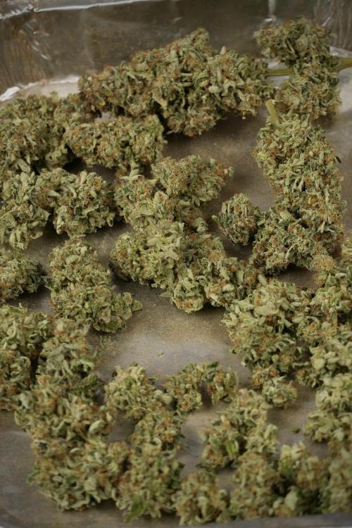 SOUR DIESEL-The Ascension of a Legend. Week 15 - the result 