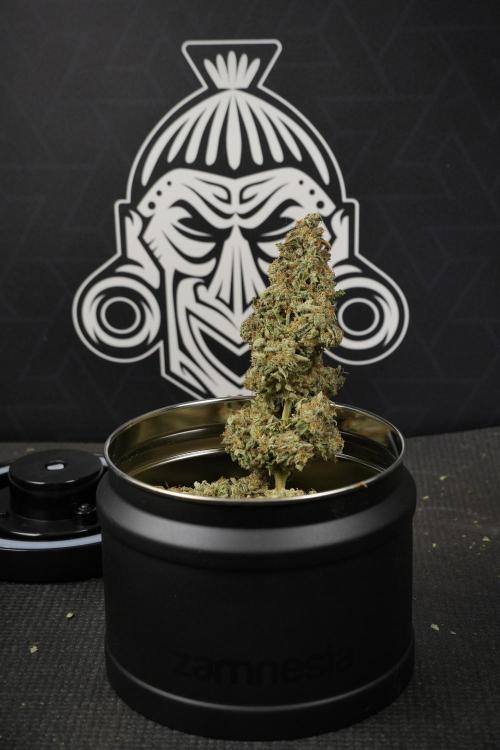 SOUR DIESEL-The Ascension of a Legend. Week 15 - saving 