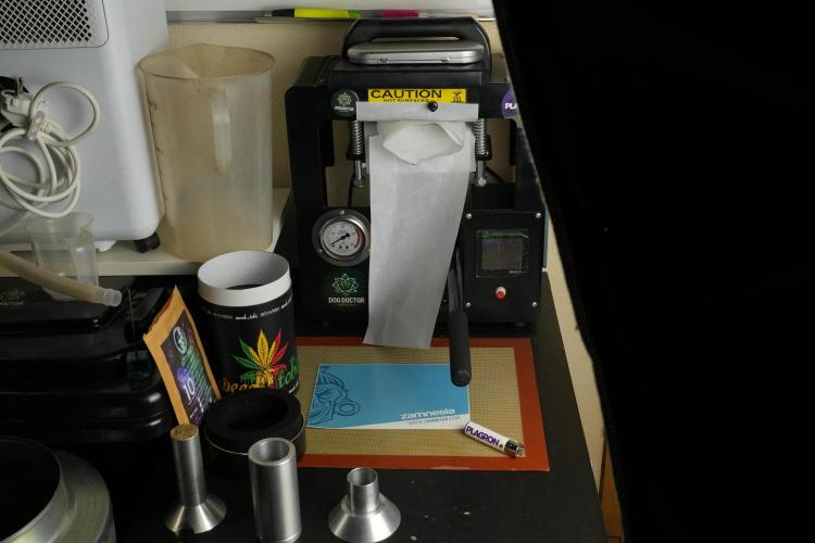 SOUR DIESEL-The Ascension of a Legend. Week 15 - hot pressing the Sour Diesel 