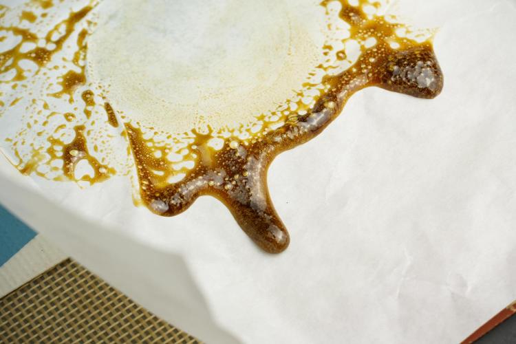 SOUR DIESEL-The Ascension of a Legend. Week 15 - hot pressing the Sour Diesel 
