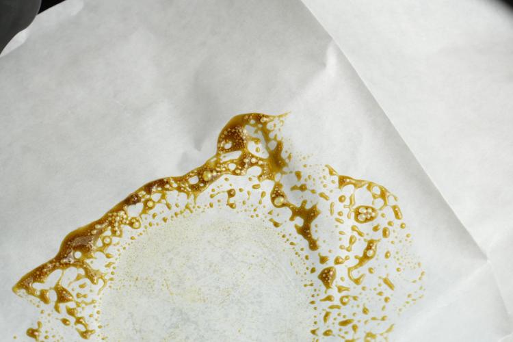 SOUR DIESEL-The Ascension of a Legend. Week 15 - hot pressing the Sour Diesel 