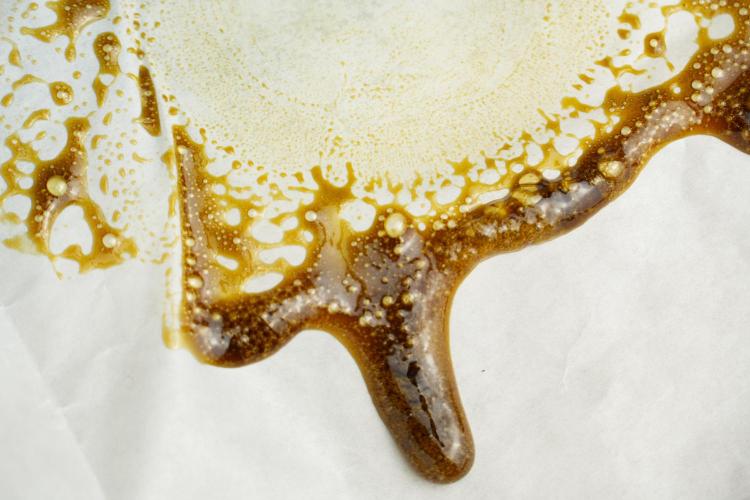 SOUR DIESEL-The Ascension of a Legend. Week 15 - hot pressing the Sour Diesel 