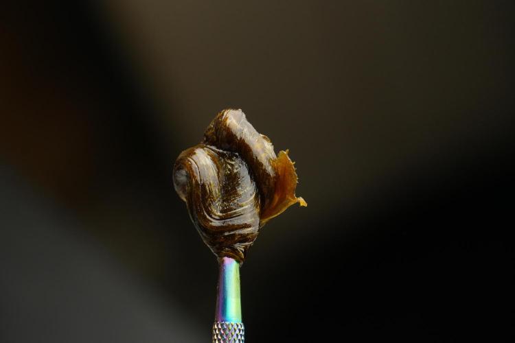 SOUR DIESEL-The Ascension of a Legend. Week 15 - hot pressing the Sour Diesel 