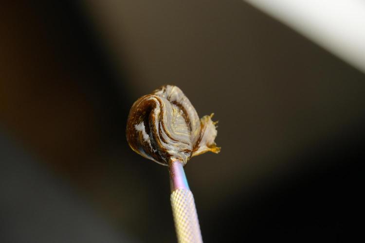 SOUR DIESEL-The Ascension of a Legend. Week 15 - hot pressing the Sour Diesel 