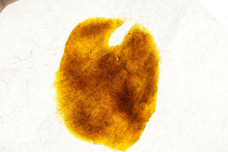 SOUR DIESEL-The Ascension of a Legend. Week 15 - hot pressing the Sour Diesel 