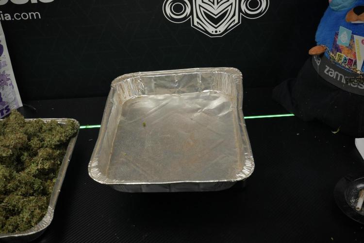 LSD Zamnesia Trippping. Week 15 - final numbers Plant B