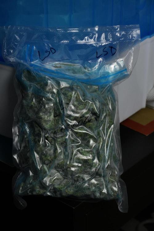 LSD Zamnesia Trippping. Week 16 - the product to be washed 
