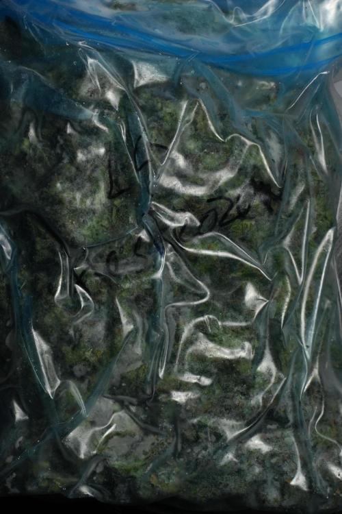 LSD Zamnesia Trippping. Week 16 - the product to be washed 