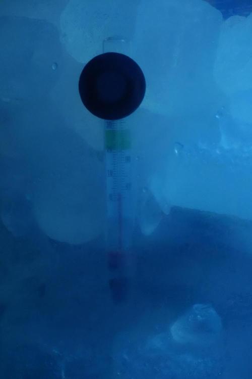 LSD Zamnesia Trippping. Week 16 - temps