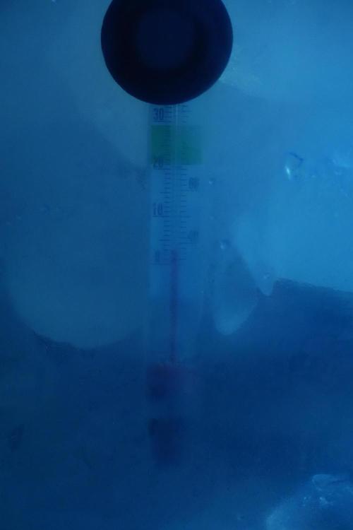 LSD Zamnesia Trippping. Week 16 - temps