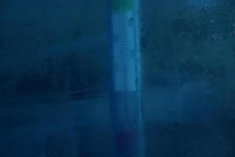LSD Zamnesia Trippping. Week 16 - washing 
