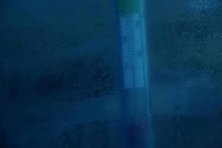 LSD Zamnesia Trippping. Week 16 - washing 