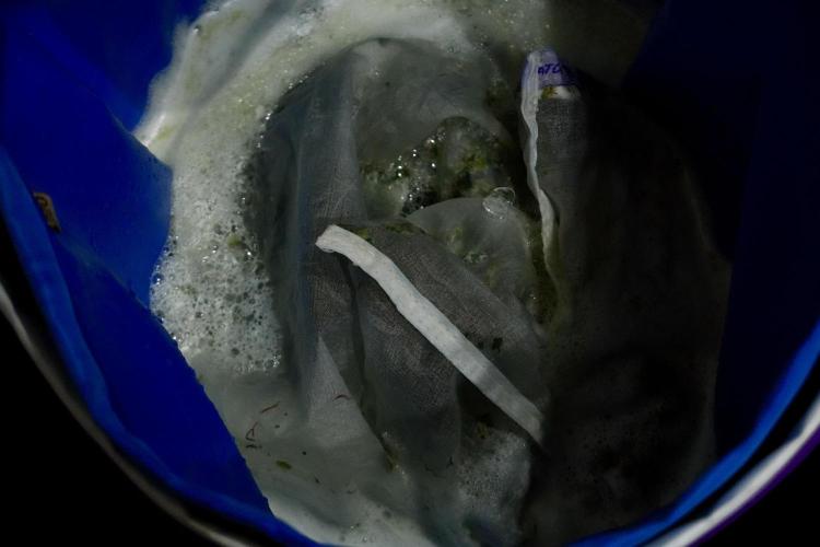 LSD Zamnesia Trippping. Week 16 - washing 
