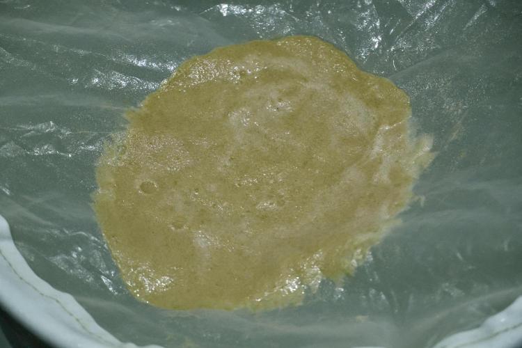 LSD Zamnesia Trippping. Week 16 - collecting 
