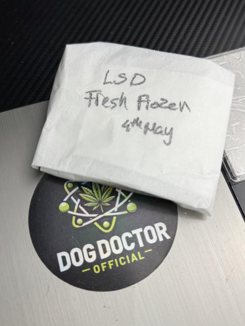 LSD Zamnesia Trippping. Week 16 - final numbers 