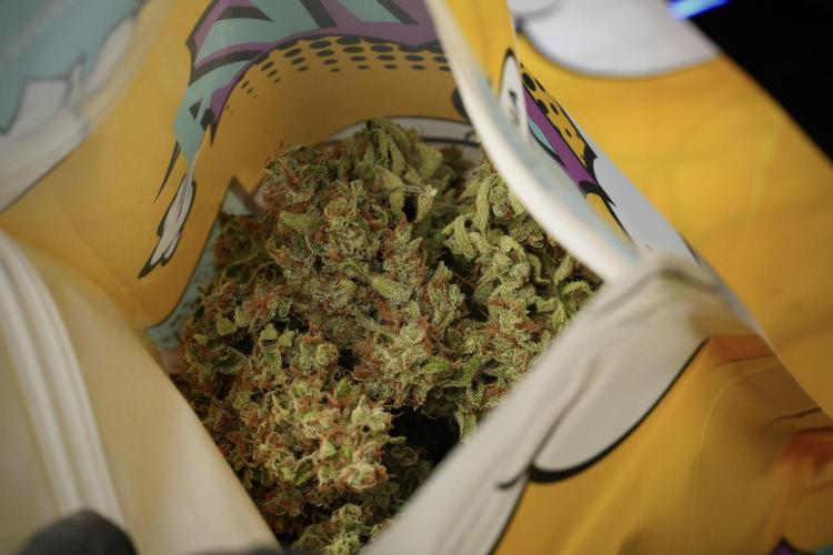 LSD Zamnesia Trippping. Week 17 - curing in groove bags