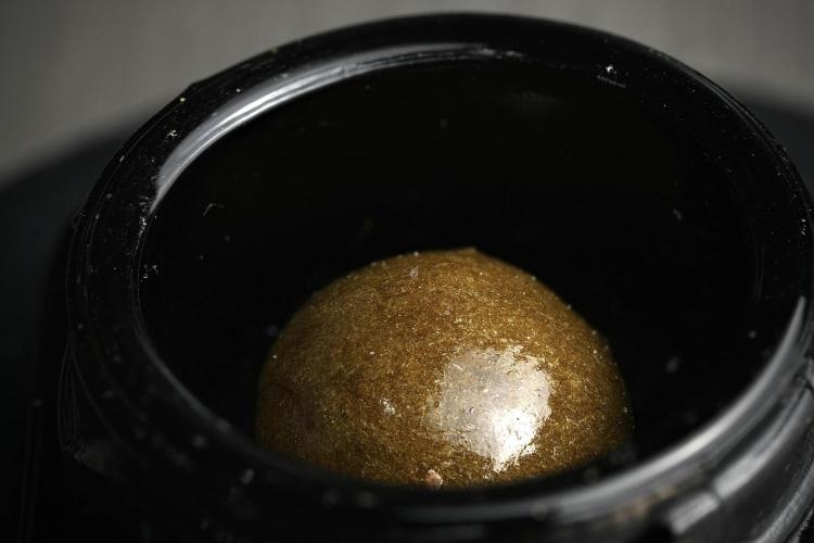 LSD Zamnesia Trippping. Week 17 - ice water hash 42 stacks merged 
