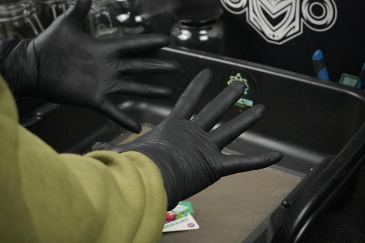 Lemon Cherry Gelato YumYum. Week 15 - Gloves on