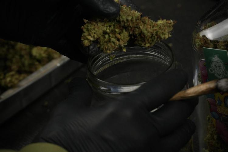 Lemon Cherry Gelato YumYum. Week 15 - saving 