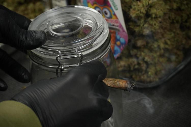 Lemon Cherry Gelato YumYum. Week 15 - saving 