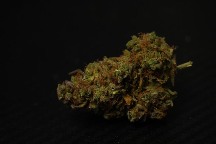Lemon Cherry Gelato YumYum. Week 15 - dry cured fruits 