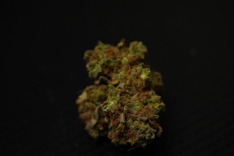 Lemon Cherry Gelato YumYum. Week 15 - dry cured fruits 
