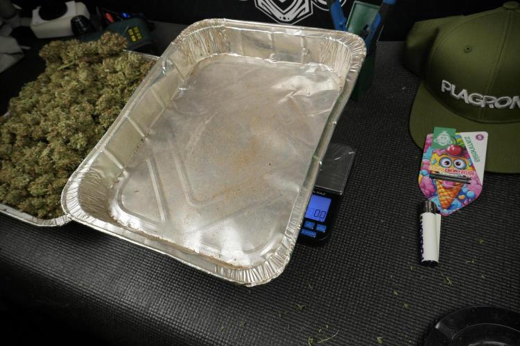 Lemon Cherry Gelato YumYum. Week 15 - final results 