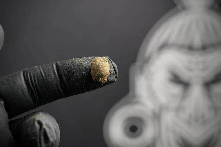 Lemon Cherry Gelato YumYum. Week 15 - hash