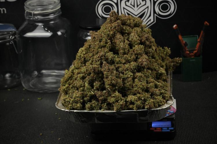 Lemon Cherry Gelato YumYum. Week 16 - trimmed by hand  with Love 