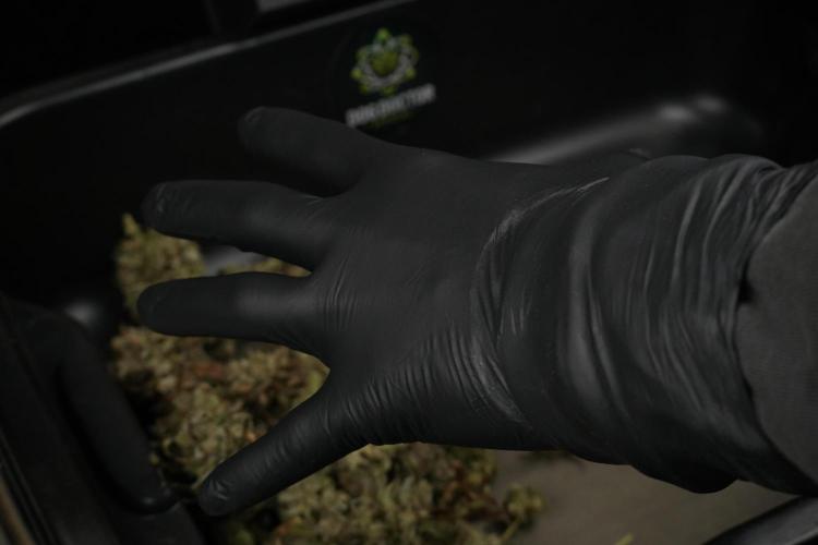 TicaL X Zamnesia-NectarDrip pack#268/750. Week 16 - gloves on