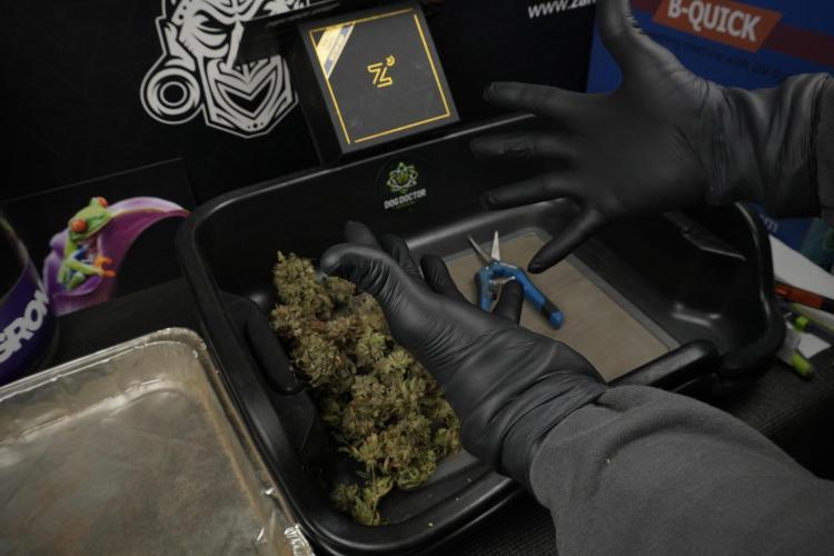 TicaL X Zamnesia-NectarDrip pack#268/750. Week 16 - gloves on