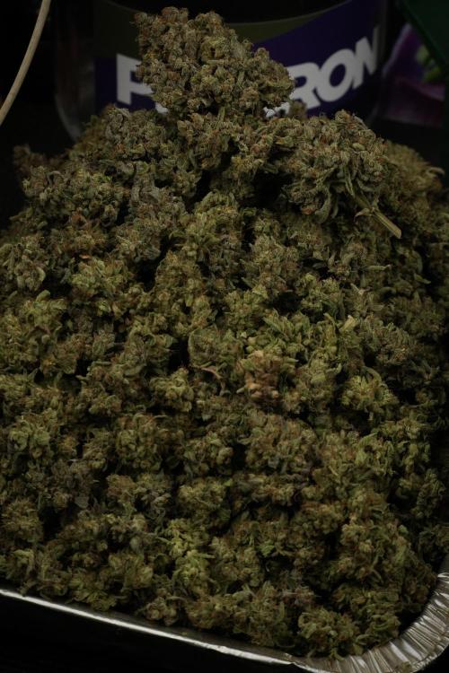 TicaL X Zamnesia-NectarDrip pack#268/750. Week 16 - final results 