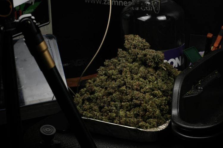 TicaL X Zamnesia-NectarDrip pack#268/750. Week 16 - final results 