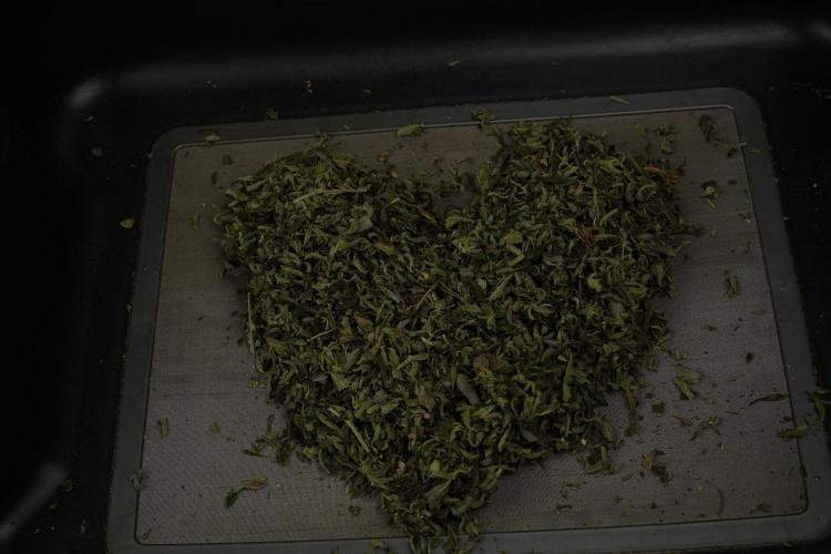 TicaL X Zamnesia-NectarDrip pack#268/750. Week 16 - Love