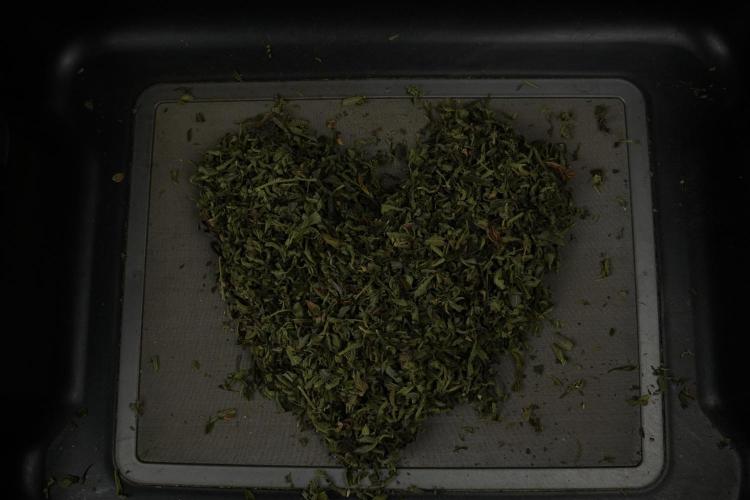 TicaL X Zamnesia-NectarDrip pack#268/750. Week 16 - Love