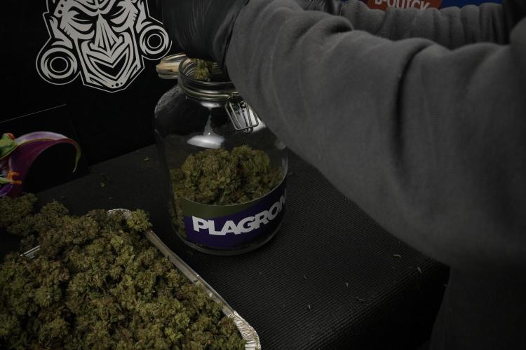 TicaL X Zamnesia-NectarDrip pack#268/750. Week 16 - final result  saved in glass jars 