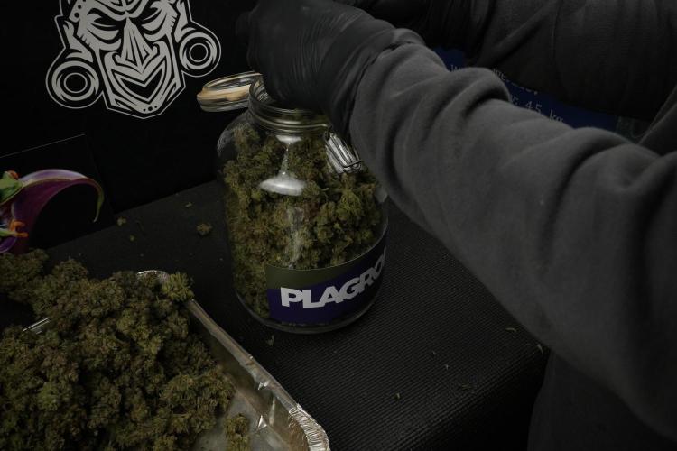 TicaL X Zamnesia-NectarDrip pack#268/750. Week 16 - final result  saved in glass jars 