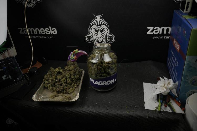 TicaL X Zamnesia-NectarDrip pack#268/750. Week 16 - final result  saved in glass jars 