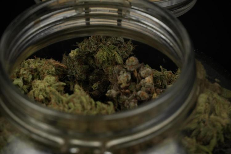 TicaL X Zamnesia-NectarDrip pack#268/750. Week 16 - final result  saved in glass jars 