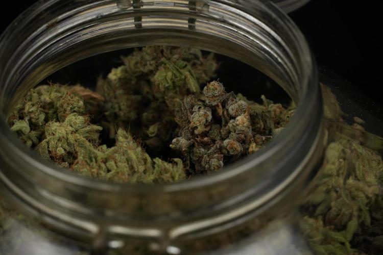TicaL X Zamnesia-NectarDrip pack#268/750. Week 16 - final result  saved in glass jars 