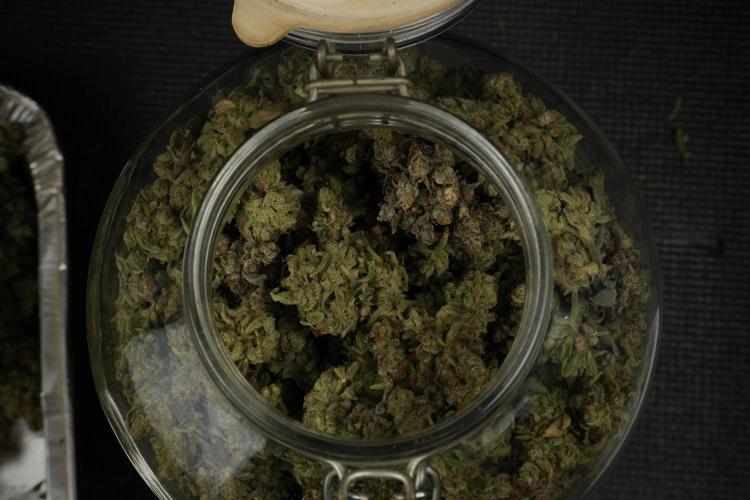 TicaL X Zamnesia-NectarDrip pack#268/750. Week 16 - final result  saved in glass jars 
