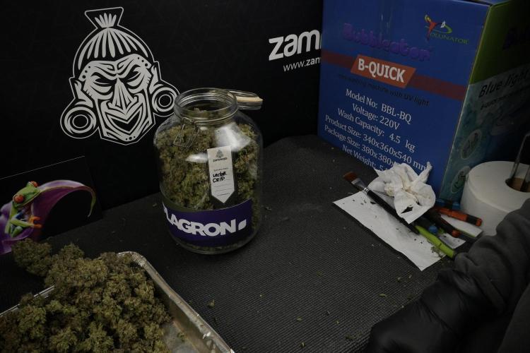 TicaL X Zamnesia-NectarDrip pack#268/750. Week 16 - final result  saved in glass jars 